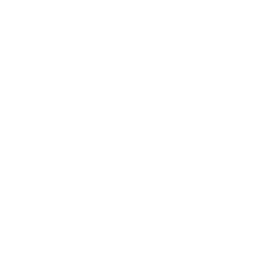 Bradesco Seguros