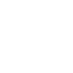 HDI Seguros