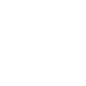 Suhai Seguradora