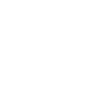 Tokio Marine Seguros